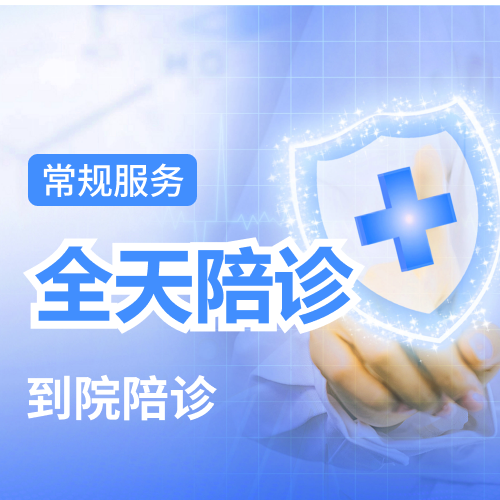 全天陪诊 540元/8小时